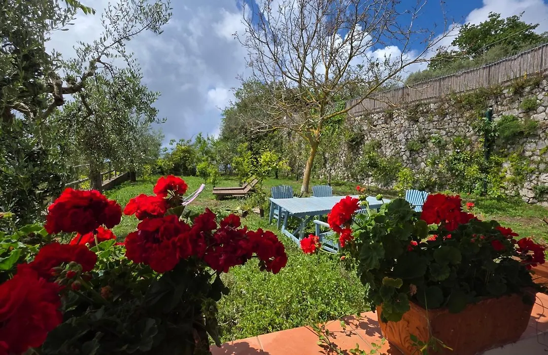Agriturismo Fattoria Terranova-1