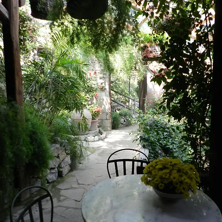 Agriturismo Fattoria Terranova-2